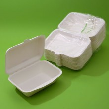 CARTONE 10 CONFEZIONI - BOX IN POLPA RETTANGOLARE Ml.600 x 50 PZ. Cm.19x13,5